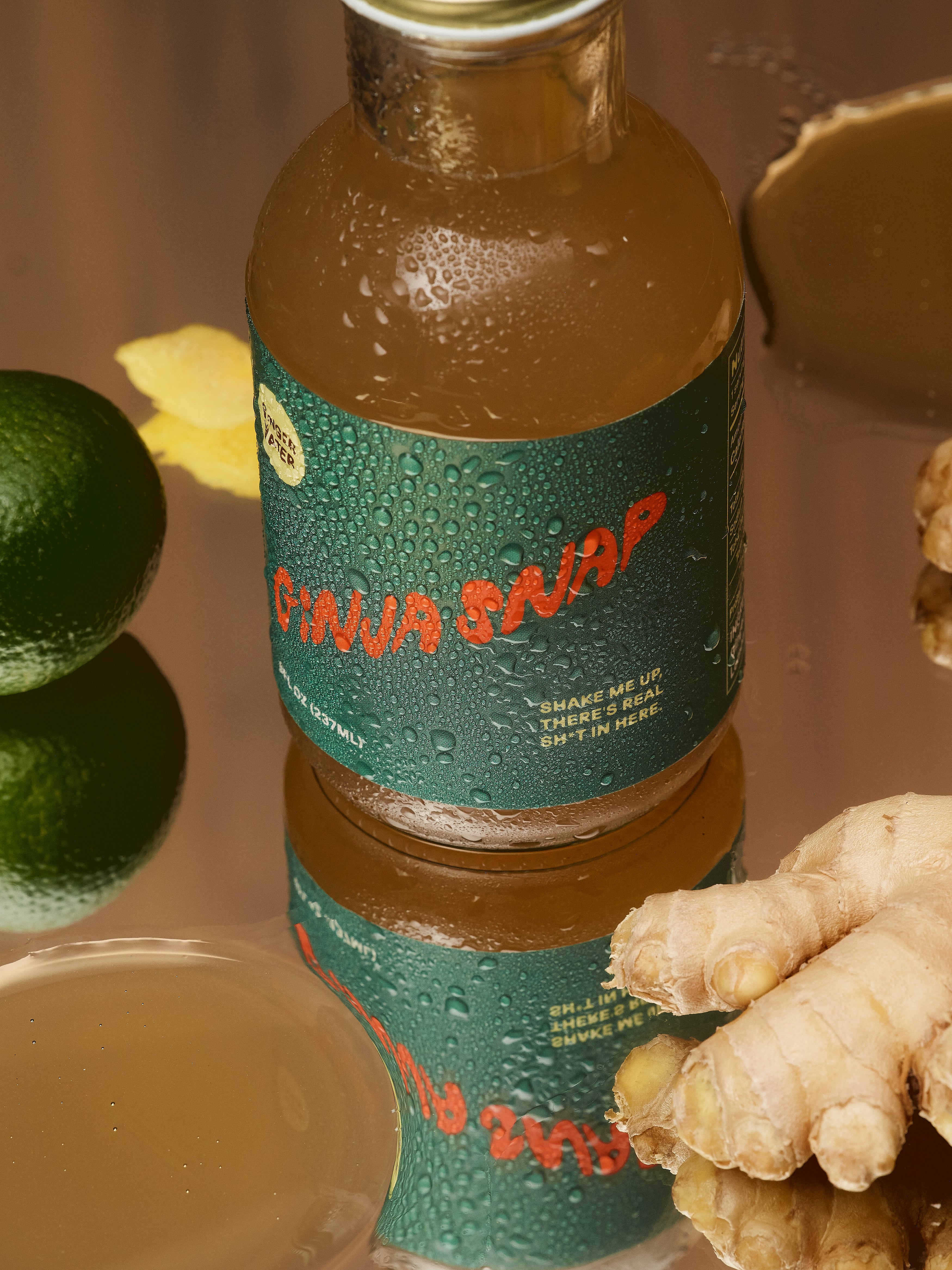 Ginja Snap - 12pack (Philly Delivery Only)